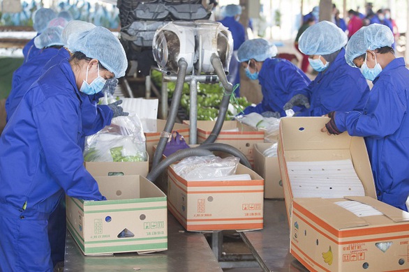Công ty nông nghiệp của bầu Đức giải trình lý do lỗ hàng ngàn tỉ đồng - Ảnh 1. Công ty nông nghiệp của bầu Đức giải trình lý do lỗ hàng ngàn tỉ đồng - Ảnh 1.