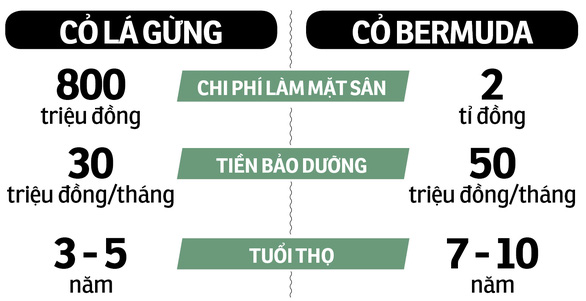 Mặt sân xấu ở V-League: Chủ yếu do cách nghĩ - Ảnh 2. Mặt sân xấu ở V-League: Chủ yếu do cách nghĩ - Ảnh 2.