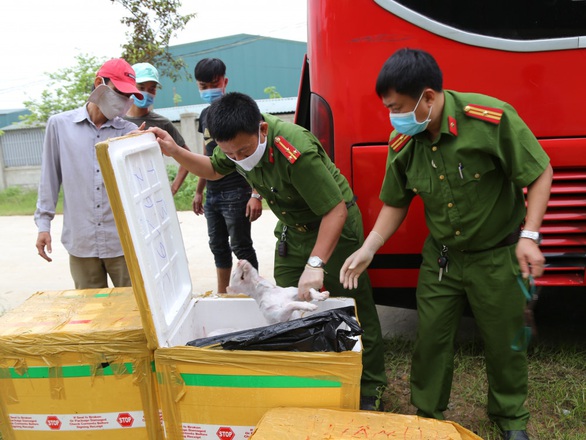 Liên tiếp bắt xe khách chở hàng tấn động vật, nội tạng hôi thối - Ảnh 1. Liên tiếp bắt xe khách chở hàng tấn động vật, nội tạng hôi thối - Ảnh 1.