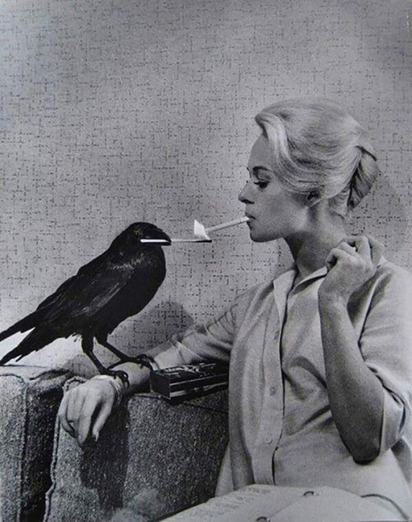 Tippi Hedren - Người đẹp tóc vàng -  ân nhân của  nhiều người Việt ở Mỹ - Ảnh 2.