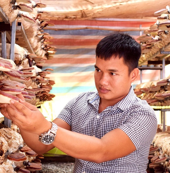 Bỏ giấc mơ du học để... trồng nấm - Ảnh 3. Bỏ giấc mơ du học để... trồng nấm - Ảnh 3.