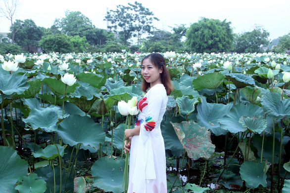 Ngây ngất với đầm sen trắng xứ Huế ở Hà thành - Ảnh 6. Ngây ngất với đầm sen trắng xứ Huế ở Hà thành - Ảnh 6.