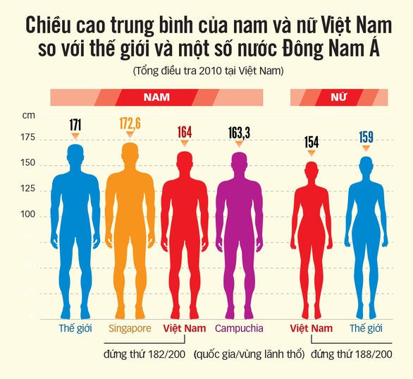 Người Việt đã cao hơn? - Ảnh 4. Người Việt đã cao hơn? - Ảnh 4.