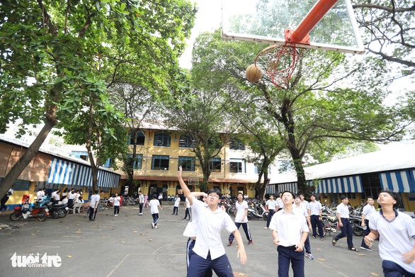 Cây đổ lộ ra thêm chuyện quản lý cây xanh trong trường học - Ảnh 1. Cây đổ lộ ra thêm chuyện quản lý cây xanh trong trường học - Ảnh 1.