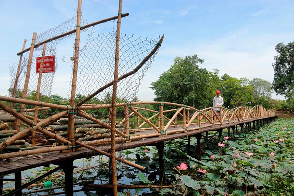 Hồi sinh thắng cảnh hồ Tịnh Tâm - Trồng lại sen trắng Huế - Ảnh 1. Hồi sinh thắng cảnh hồ Tịnh Tâm - Trồng lại sen trắng Huế - Ảnh 1.