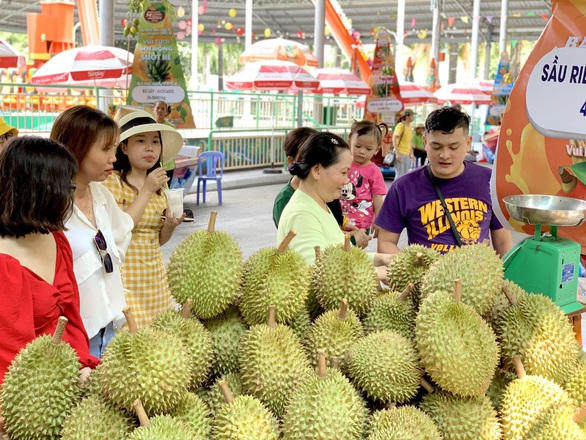Hàng nghìn du khách đội mưa vui chơi nhân dịp 1-6 - Ảnh 6. Hàng nghìn du khách đội mưa vui chơi nhân dịp 1-6 - Ảnh 6.