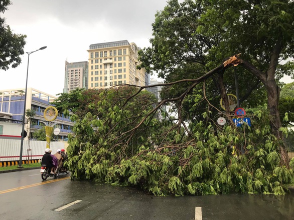 Bão số 1 mạnh lên, cách Hoàng Sa 450km, TP.HCM đã có mưa, gió - Ảnh 3. Bão số 1 mạnh lên, cách Hoàng Sa 450km, TP.HCM đã có mưa, gió - Ảnh 3.