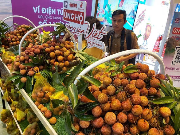 Một tuần tưng bừng trải nghiệm mua vải thiều trên Ví điện tử MoMo - Ảnh 1. Một tuần tưng bừng trải nghiệm mua vải thiều trên Ví điện tử MoMo - Ảnh 1.