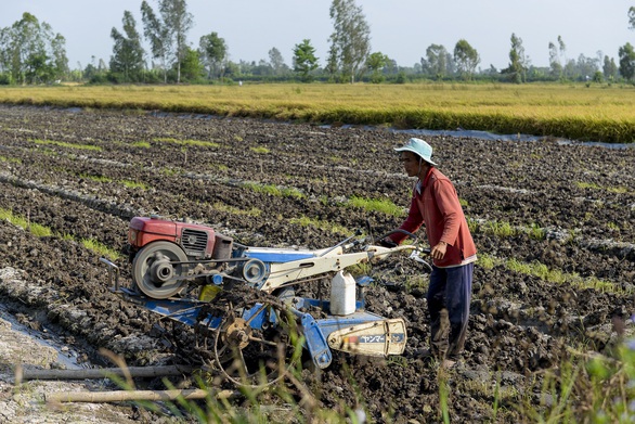 Không sửa sớm Luật thuế 71: thiệt hại cả tỉ USD, doanh nghiệp, nông dân thiệt - Ảnh 1. Không sửa sớm Luật thuế 71: thiệt hại cả tỉ USD, doanh nghiệp, nông dân thiệt - Ảnh 1.