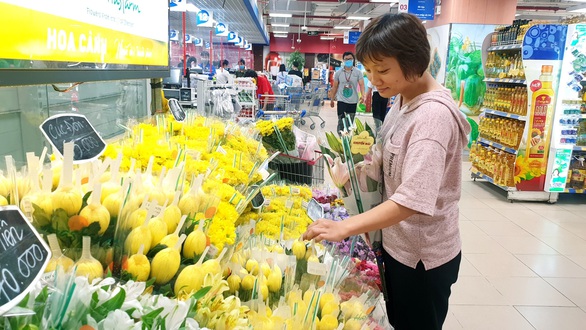 ảnh 1 - bông mai ảnh 1 - bông mai