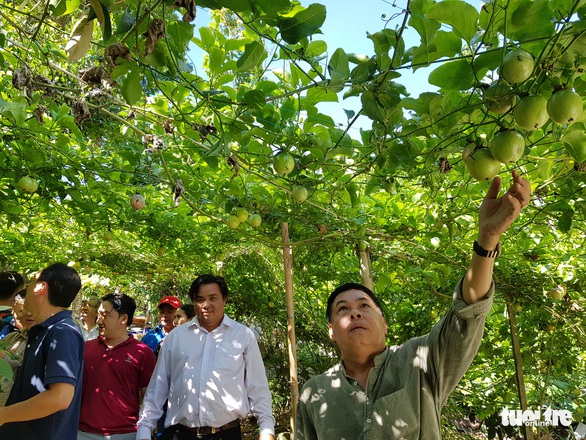 Khảo sát các điểm du lịch mới nổi ở nóc nhà miền Tây - Ảnh 2. Khảo sát các điểm du lịch mới nổi ở nóc nhà miền Tây - Ảnh 2.