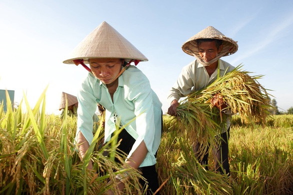 Bayer hỗ trợ hai triệu nông hộ sản xuất nhỏ chịu tác động bởi COVID-19 - Ảnh 1. Bayer hỗ trợ hai triệu nông hộ sản xuất nhỏ chịu tác động bởi COVID-19 - Ảnh 1.
