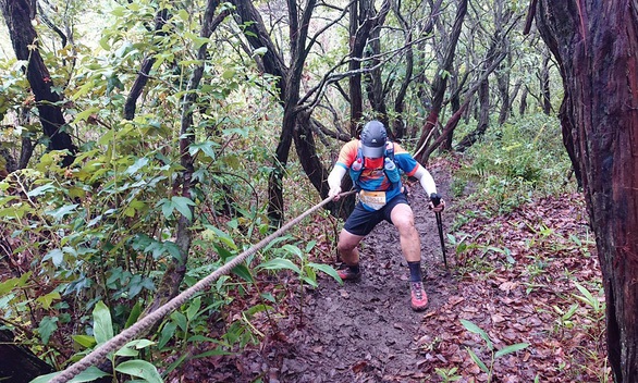 Tổng cục TDTT chỉ đạo phải đảm bảo an toàn cho VĐV chạy marathon - Ảnh 1. Tổng cục TDTT chỉ đạo phải đảm bảo an toàn cho VĐV chạy marathon - Ảnh 1.