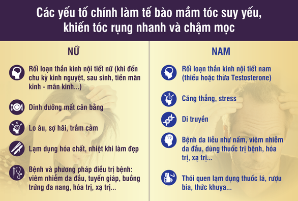 Muốn tóc mọc khỏe, đẹp, phải chăm từ tế bào mầm tóc - Ảnh 2.