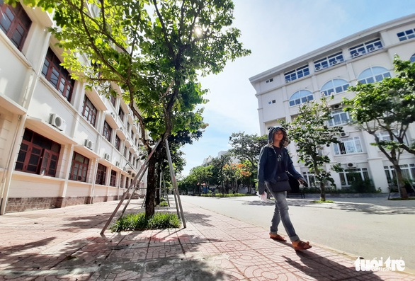 Mặc áo giáp’ cho cây xanh trong trường học - Ảnh 10. Mặc áo giáp’ cho cây xanh trong trường học - Ảnh 10.