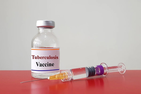 Nghiên cứu của Mỹ: vắcxin ngừa lao có thể giảm tỉ lệ tử vong vì COVID-19 - Ảnh 1.