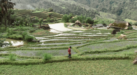 Hà Giang, Tà Xùa mộc mạc mà hùng vĩ qua MV Đợi nụ cười em - Ảnh 2. Hà Giang, Tà Xùa mộc mạc mà hùng vĩ qua MV Đợi nụ cười em - Ảnh 2.