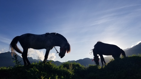 Rủ nhau lên Sa Pa ‘ướp lạnh’ mùa hè, xem Vó ngựa trên mây - Ảnh 6. Rủ nhau lên Sa Pa ‘ướp lạnh’ mùa hè, xem Vó ngựa trên mây - Ảnh 6.