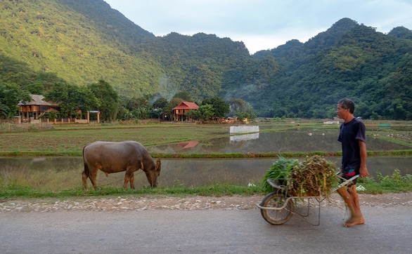 Thung lũng góa chồng... bỏ lại quá khứ kinh hoàng - Ảnh 1. Thung lũng góa chồng... bỏ lại quá khứ kinh hoàng - Ảnh 1.