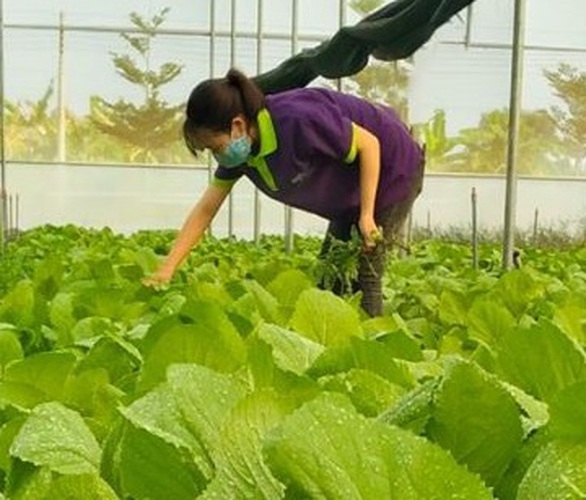 Bình Dương xem xét vụ lùm xùm thanh tra nông trại của Vinamit - Ảnh 1. Bình Dương xem xét vụ lùm xùm thanh tra nông trại của Vinamit - Ảnh 1.