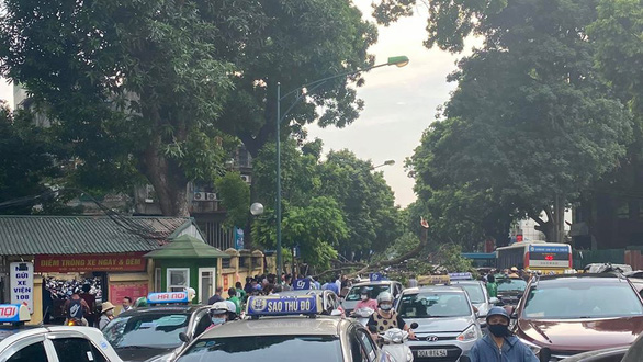 Ba ôtô chạy trên phố Hà Nội bị nhánh cây xà cừ giáng xuống bất thần - Ảnh 2.