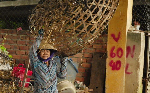 Nghề... bế heo - Ảnh 3. Nghề... bế heo - Ảnh 3.