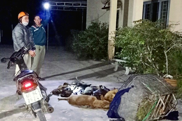 Bắt quả tang ‘cẩu tặc’ mang 10 con chó trộm được đi tiêu thụ - Ảnh 1. Bắt quả tang ‘cẩu tặc’ mang 10 con chó trộm được đi tiêu thụ - Ảnh 1.