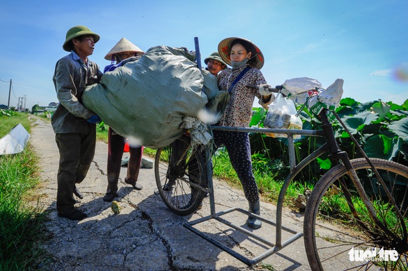 Thu hơn trăm triệu đồng mỗi vụ ở vựa sen lớn nhất miền Bắc - Ảnh 6.
