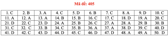 Đề và bài giải tiếng Anh kỳ thi tốt nghiệp THPT 2020 - đủ 24 mã đề - Ảnh 10. Đề và bài giải tiếng Anh kỳ thi tốt nghiệp THPT 2020 - đủ 24 mã đề - Ảnh 10.