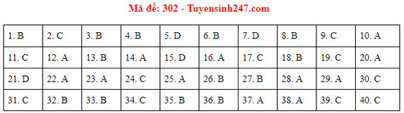 Đề và bài giải môn lịch sử kỳ thi tốt nghiệp THPT 2020 - Ảnh 7.