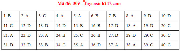 Đề và bài giải môn lịch sử kỳ thi tốt nghiệp THPT 2020 - Ảnh 6.