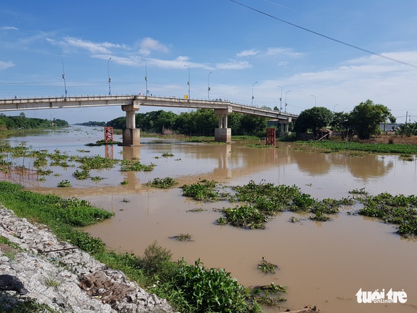 Mực nước các sông ĐBSCL đang lên, đỉnh lũ có thể cuối tháng 9 - Ảnh 2. Mực nước các sông ĐBSCL đang lên, đỉnh lũ có thể cuối tháng 9 - Ảnh 2.