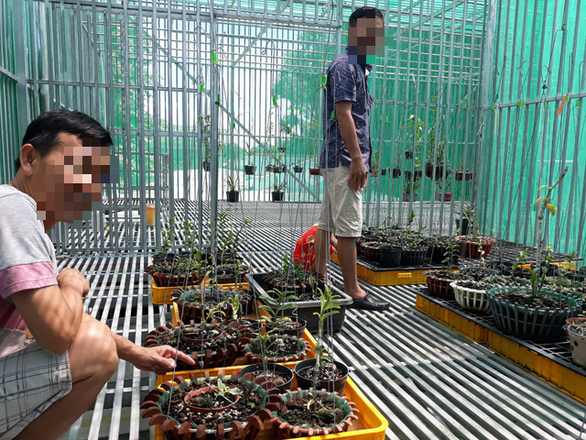 Sẽ giám sát hoạt động kinh doanh lan đột biến - Ảnh 1. Sẽ giám sát hoạt động kinh doanh lan đột biến - Ảnh 1.