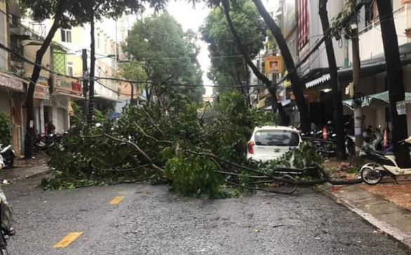 Cần Thơ: Mưa kèm gió mạnh làm nhiều cây xanh ngã đổ - Ảnh 1. Cần Thơ: Mưa kèm gió mạnh làm nhiều cây xanh ngã đổ - Ảnh 1.