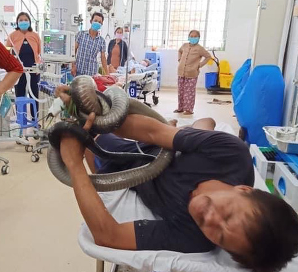 Kêu gọi giúp anh Tâm bắt rắn đóng học phí cho con, một ngày được 100 triệu đồng - Ảnh 2. Kêu gọi giúp anh Tâm bắt rắn đóng học phí cho con, một ngày được 100 triệu đồng - Ảnh 2.