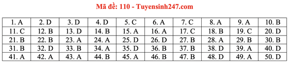 Gợi ý bài giải môn toán thi tốt nghiệp THPT 2020 - Ảnh 14. Gợi ý bài giải môn toán thi tốt nghiệp THPT 2020 - Ảnh 14.