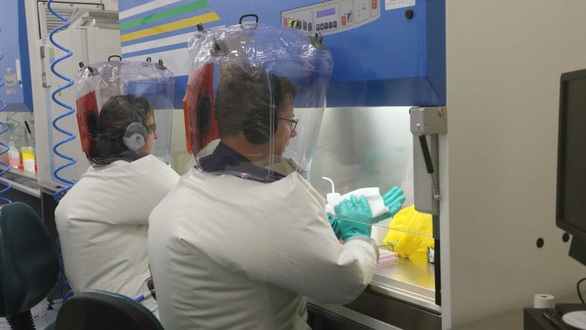Chuyên gia thế giới: Khả năng vắcxin tiêu diệt hết virus corona là rất mong manh - Ảnh 1. Chuyên gia thế giới: Khả năng vắcxin tiêu diệt hết virus corona là rất mong manh - Ảnh 1.