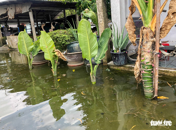 Ngập gì mà ngập hơn nửa tháng, dân Xuân Thới Đông có người đi nơi khác ở tạm - Ảnh 7.