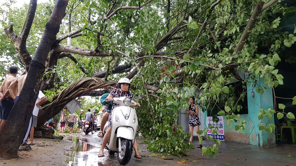 Bão số 5: Đà Nẵng chèn bao cát ngăn nước vào nhà, Huế cưa cây giải phóng đường - Ảnh 3.