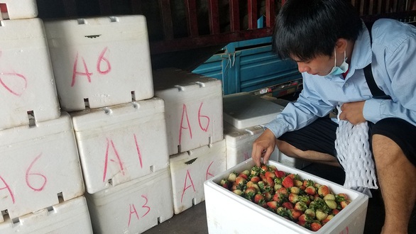 Chợ dâu tây biên giới - Ảnh 1. Chợ dâu tây biên giới - Ảnh 1.
