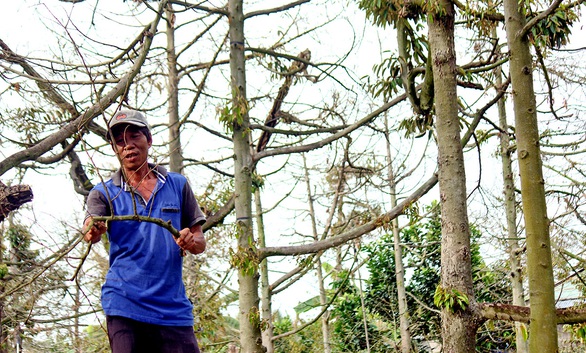 Chống hạn, mặn: Không thể nóng đâu phủi đó - Ảnh 4. Chống hạn, mặn: Không thể nóng đâu phủi đó - Ảnh 4.
