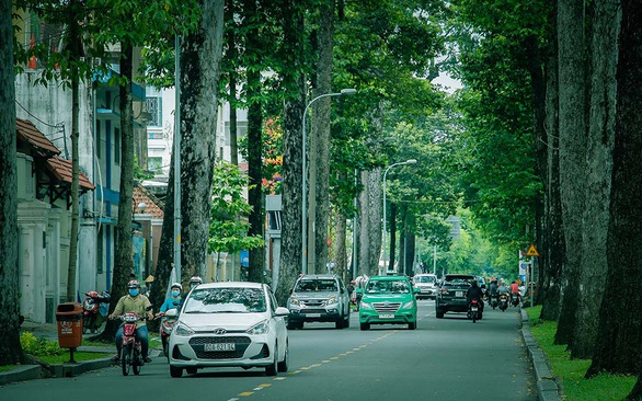 Ngại đốn, chậm thay cây vì sợ dư luận, người dân phản đối - Ảnh 1. Ngại đốn, chậm thay cây vì sợ dư luận, người dân phản đối - Ảnh 1.