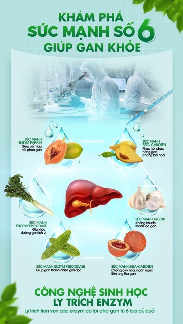 Ứng dụng công nghệ sinh học trong giải độc gan - Ảnh 3. Ứng dụng công nghệ sinh học trong giải độc gan - Ảnh 3.