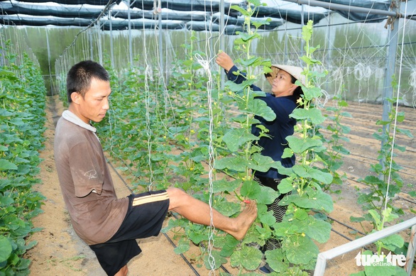 Dũng cảm đi tìm quả ngọt tình yêu - Ảnh 1. Dũng cảm đi tìm quả ngọt tình yêu - Ảnh 1.