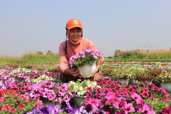 Saigon flower village raid is blooming, waiting for Tet - Photo 8.