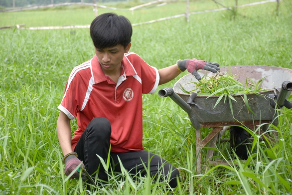 Nhận giấy báo trúng tuyển đại học, tôi mừng đến run cả người - Ảnh 2. Nhận giấy báo trúng tuyển đại học, tôi mừng đến run cả người - Ảnh 2.