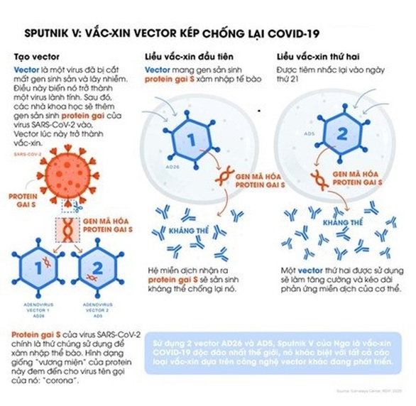Sputnik V là vắc xin chống biến chủng Delta tỉ lệ cao - Ảnh 3. Sputnik V là vắc xin chống biến chủng Delta tỉ lệ cao - Ảnh 3.
