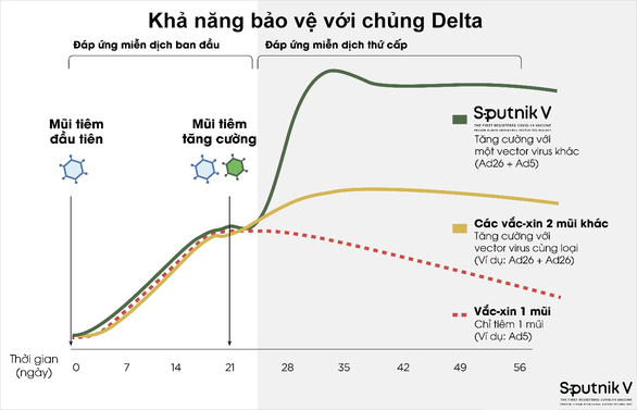 Sputnik V là vắc xin chống biến chủng Delta tỉ lệ cao - Ảnh 4. Sputnik V là vắc xin chống biến chủng Delta tỉ lệ cao - Ảnh 4.