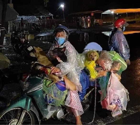Trưởng trạm y tế nơi xảy ra vụ tiêu hủy 15 con chó xin nghỉ việc - Ảnh 2. Trưởng trạm y tế nơi xảy ra vụ tiêu hủy 15 con chó xin nghỉ việc - Ảnh 2.