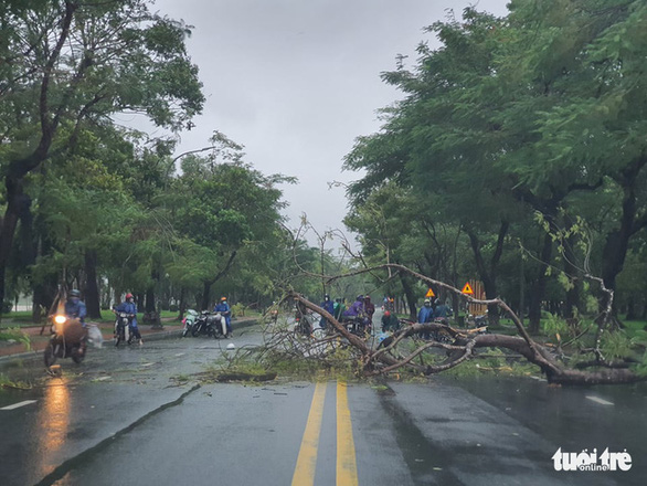 Miền Trung mưa to gió lớn, 2 người mất tích, cây đổ đè trúng người đi đường ở Huế - Ảnh 7.
